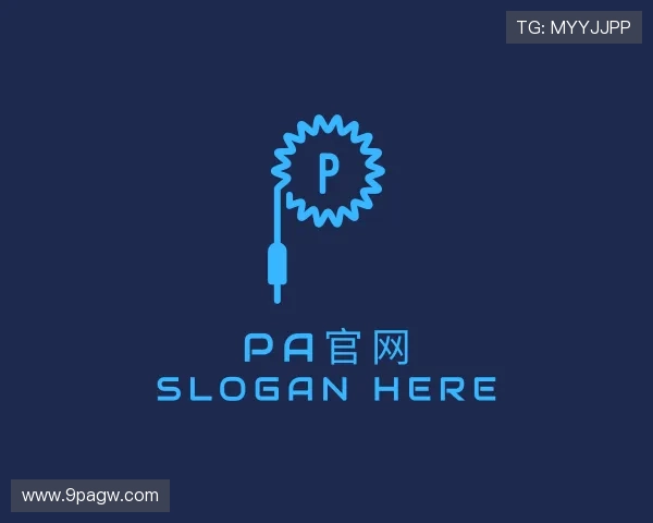 介绍PA官网